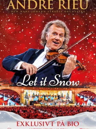 En man spelar violin i ett jullandskap.